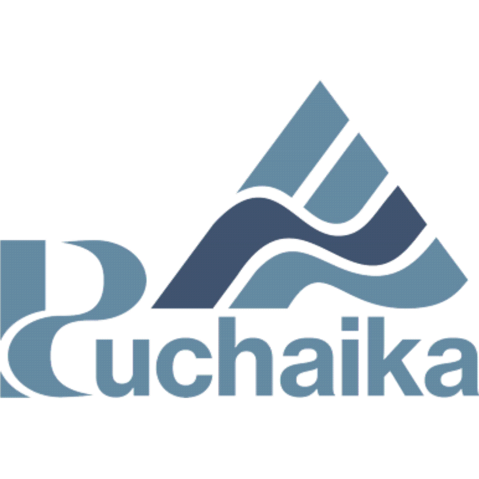 Ruchaika JSC