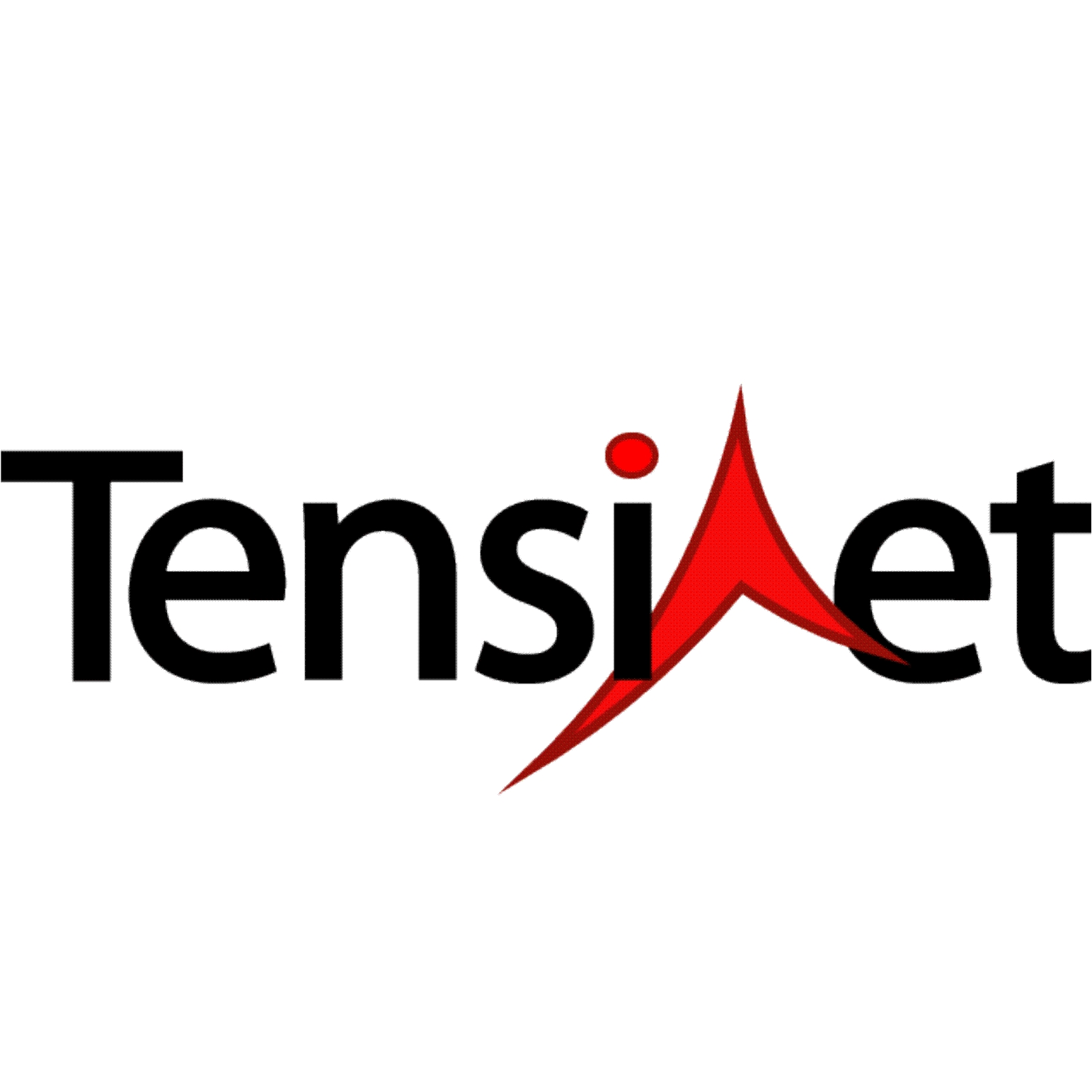 TensiNet